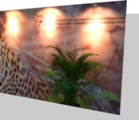 MCB Design | Your Brand Is Our Business - Wallpaper